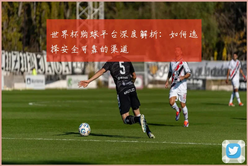 世界杯购球平台深度解析：如何选择安全可靠的渠道