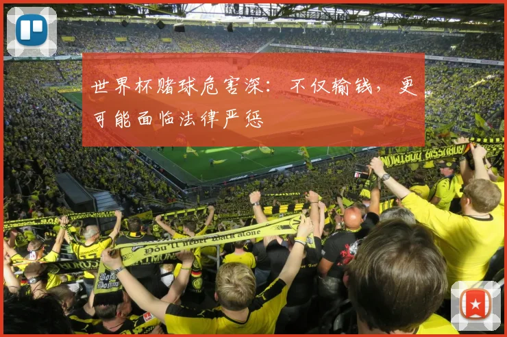 世界杯赌球危害深：不仅输钱，更可能面临法律严惩