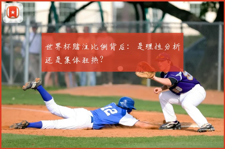 世界杯赌注比例背后：是理性分析还是集体狂热？