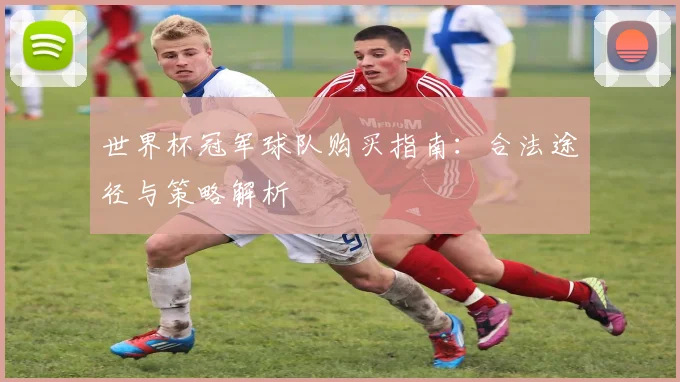 世界杯冠军球队购买指南：合法途径与策略解析