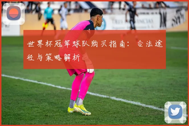 世界杯冠军球队购买指南：合法途径与策略解析