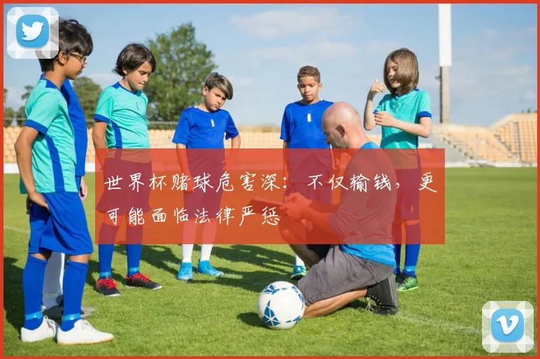 世界杯赌球危害深：不仅输钱，更可能面临法律严惩